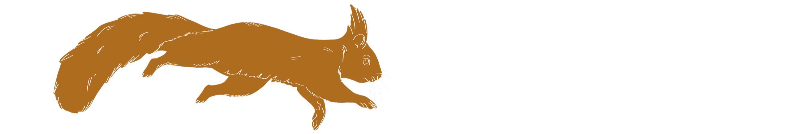 Ausstellungsgestaltung Eichhörnchen Illustration