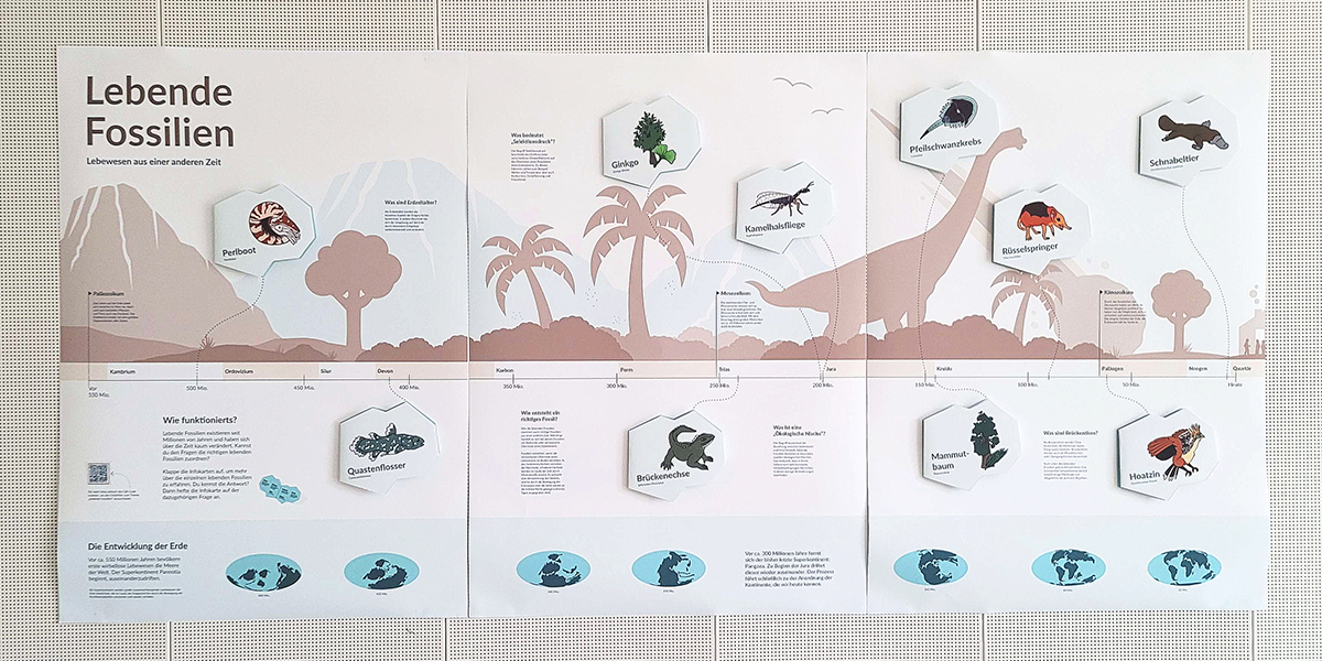 Infomationsgestaltung Lebende Fossilien Gesamtansicht Plakat